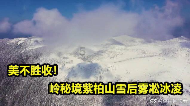 逃离冰淇淋屋