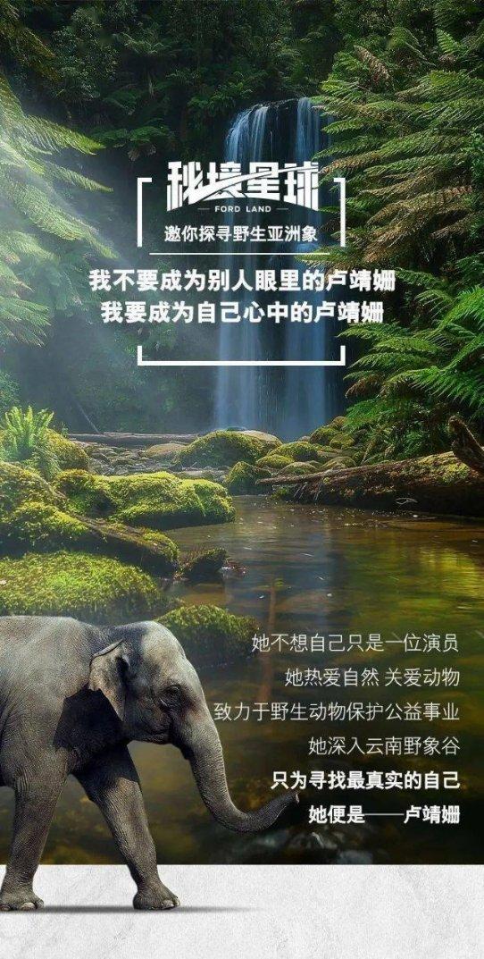 刚火一年，这「国剧之光」就翻车了