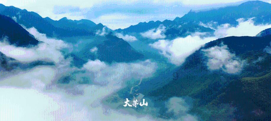 道路交通连连看第三章
