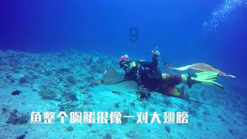 突击英雄