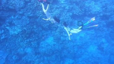 小猫钓鱼游戏龙王版有船