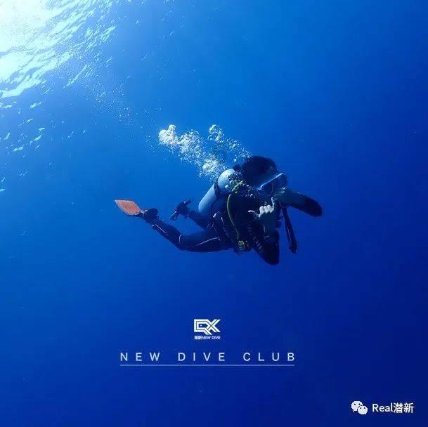 逃离天鹅森林