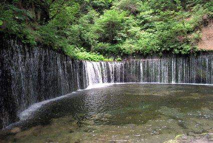 池州市劳动教育示范学校31所!