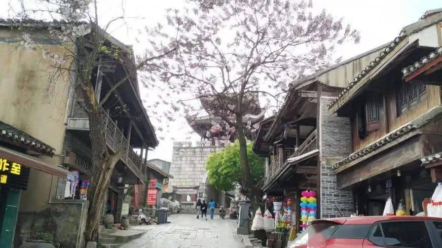 勇立潮头,不断丰富和拓展中法中欧关系的新时代内涵