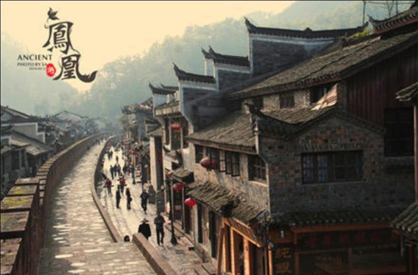 僵尸猎人赏金大赛